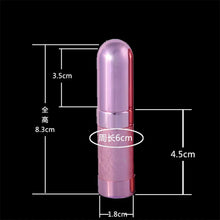 Wedding Liquid Holder Practical Empty Pump Mini Lady Gift Empty Scent Bottle Travel Spray Perfume Atomizer Spray 6ml