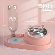 Pet Cat Bowl Automatic Feeder Water Dispenser Dog Cat Food Bowl with Drinking Raised Stand Double Dish Bowls for Cats Dogs Pet