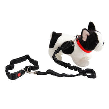 Pet Dog Lead Leash Outdoor Dogs Harness Hands Free Prime Waist Belt Lead Leash Bungee Harness Fpr Jogging Running Dog Walking