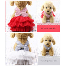 Dog Dress Cat Lace Skirt Pet Summer Clothing Puppy Cat Princess Apparel Cute Puppy Clothe Chihuahua Stripe Skirt Dog Accessories